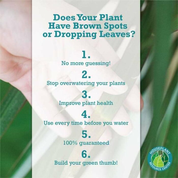 Houseplant Moisture Meter The Fiddle Leaf Fig Plant Resource