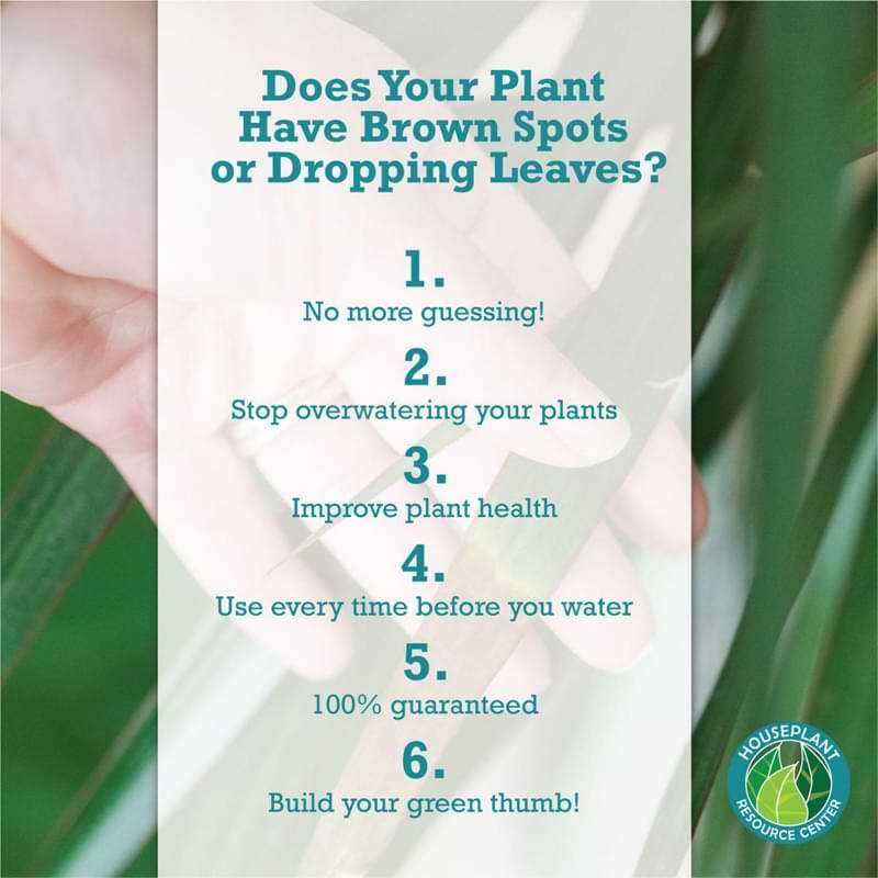 Houseplant Moisture Meter 8 Fiddle Leaf Fig Plant Food Soil Meter