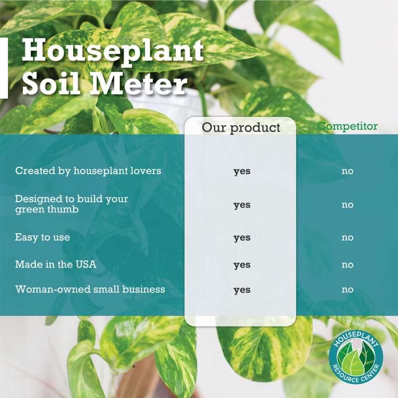 Fiddle Leaf Fig Plant Food Soil Meter