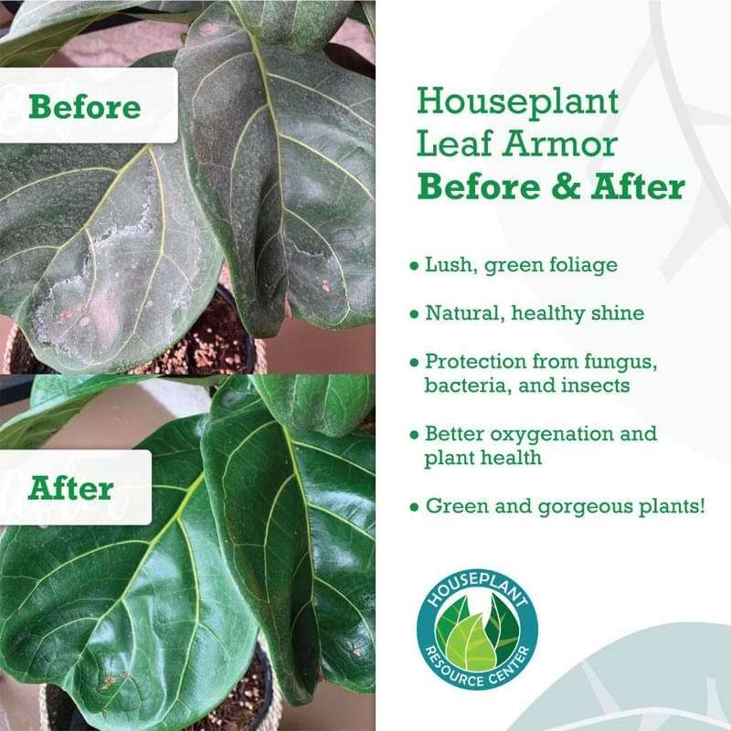 Houseplant Leaf Armor