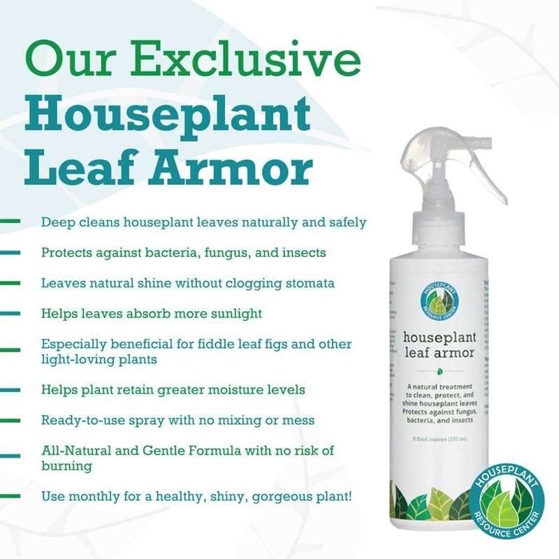 Leaf Armor by Houseplant Resource Center | Natural Indoor Plant Leaf Shine  Spray for Fiddle Leaf Fig, Ficus Audrey, Monstera and Other houseplants (8