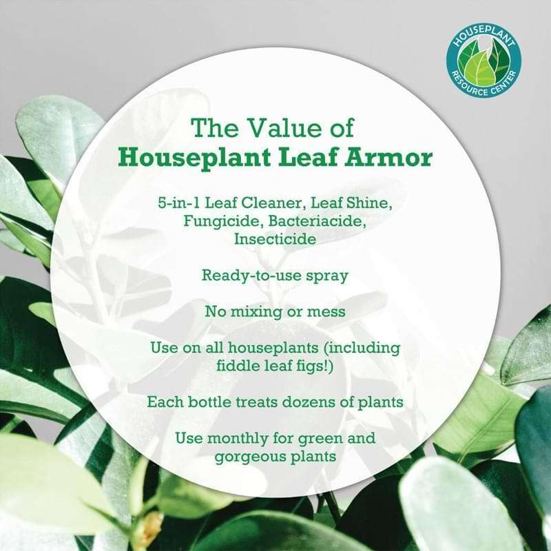 Houseplant Leaf Armor 8 Houseplant Leaf Armor