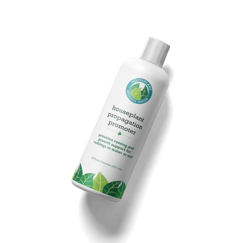 Houseplant Propagation Promoter 1 Houseplant Propagation Promoter