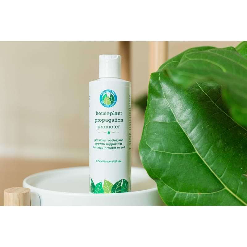 Houseplant Propagation Promoter 2 Houseplant Propagation Promoter