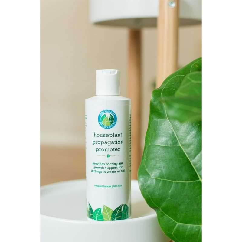 Houseplant Propagation Promoter 3 Houseplant Propagation Promoter