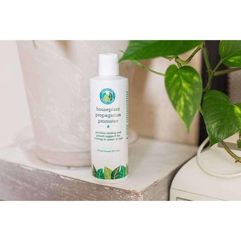 Houseplant Propagation Promoter 4 Houseplant Propagation Promoter