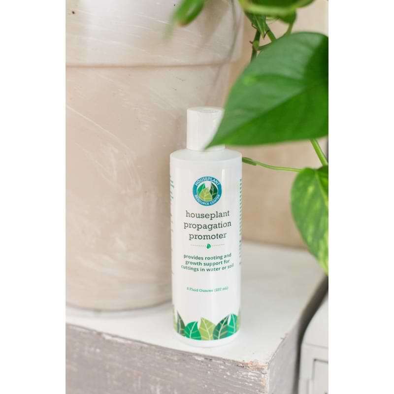 Houseplant Propagation Promoter 5 Houseplant Propagation Promoter