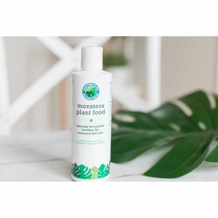 Monstera Plant Food The Fiddle Leaf Fig Plant Resource