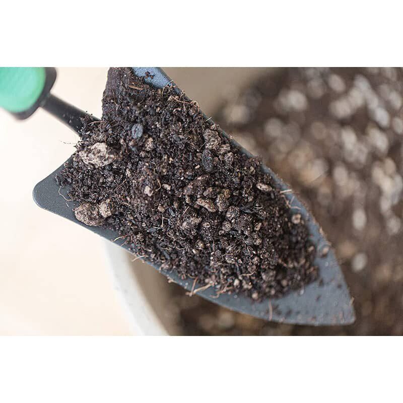 Premium Monstera Potting Soil 3 Monstera Potting Soil