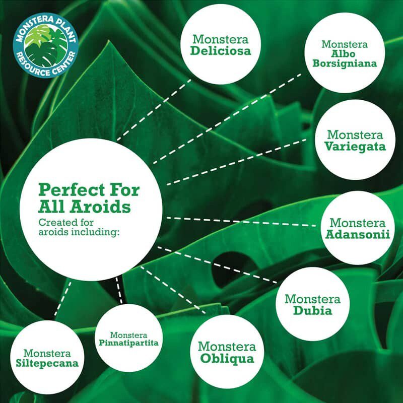 Premium Monstera Potting Soil 8 Monstera Potting Soil