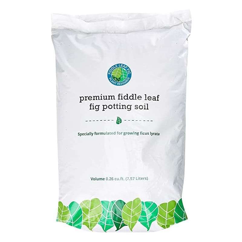 Premium Fiddle Leaf Fig Potting Soil 1 Premium Fiddle Leaf Fig Potting Soil
