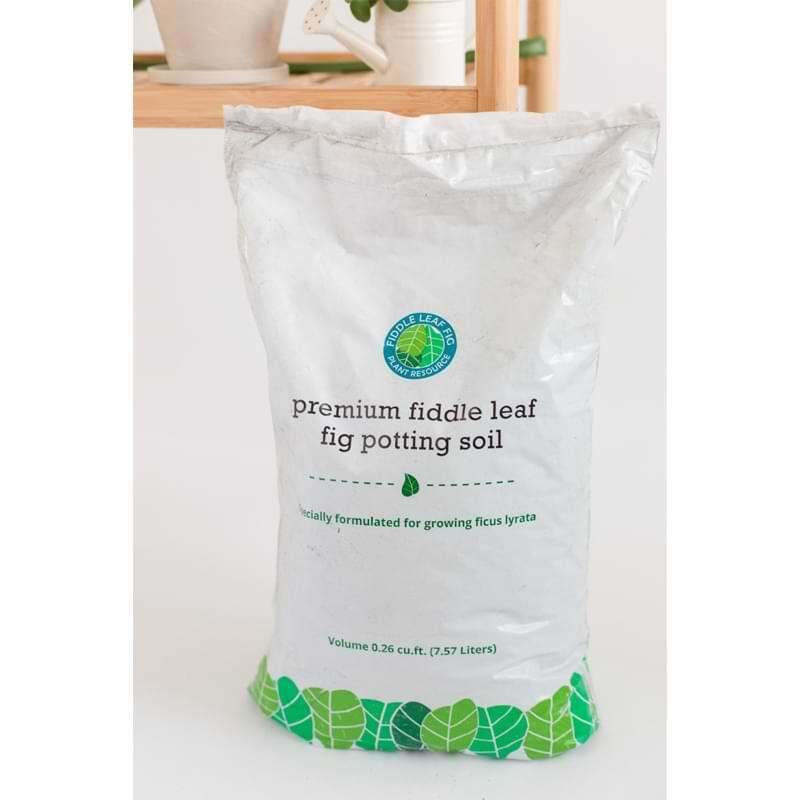 Premium Fiddle Leaf Fig Potting Soil