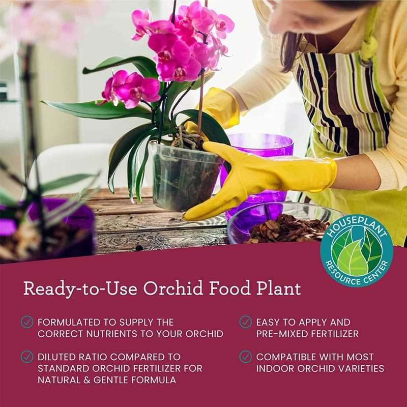 Premium Orchid Food 6 Premium Orchid Food