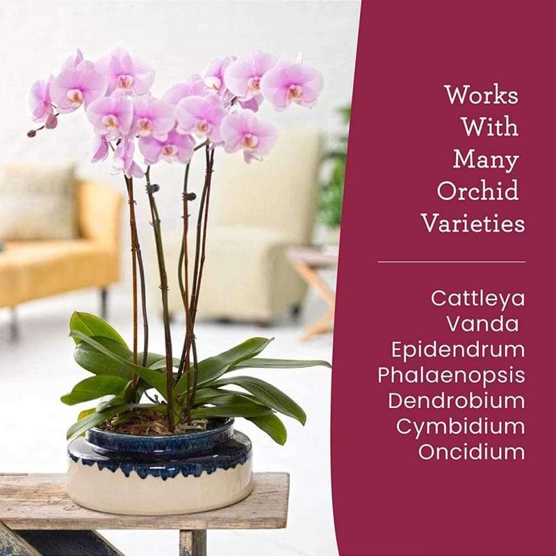 Premium Orchid Food 9 Premium Orchid Food