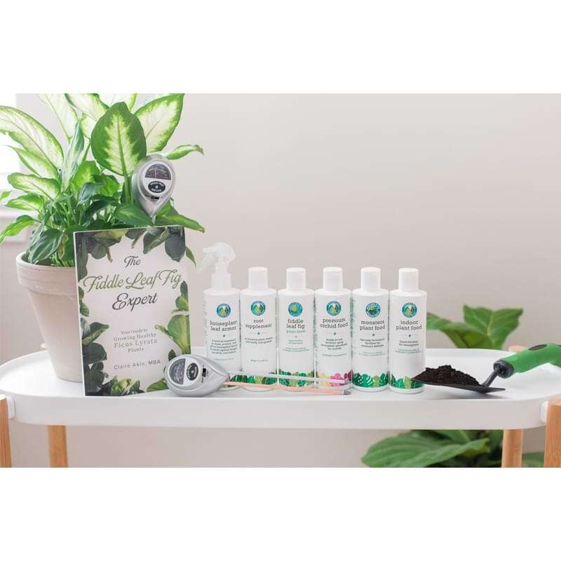 The Fiddle Leaf Fig Expert Book