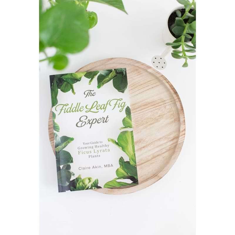 The Fiddle Leaf Fig Expert Book
