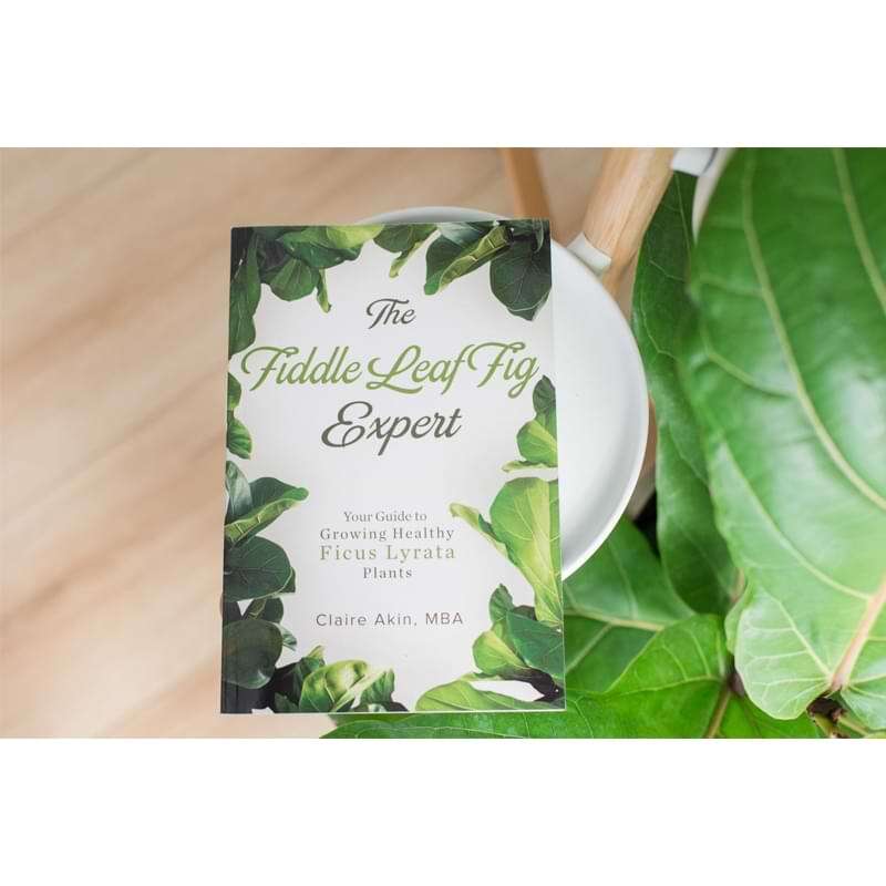 The Fiddle Leaf Fig Expert Book