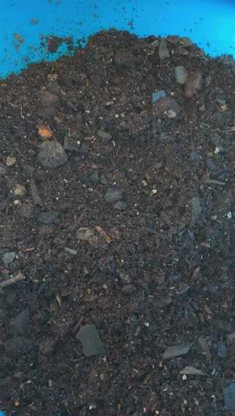 Advanced Fiddle Care: How to Create Custom Fiddle Leaf Fig Soil 8 Are you an expert fiddle leaf fig grower? Click to learn how to create your own custom fiddle leaf fig soil to keep your tree healthy, green, and gorgeous.