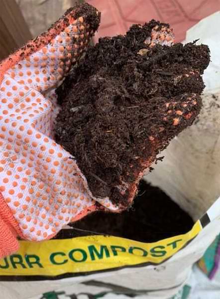 Advanced Fiddle Care: How to Create Custom Fiddle Leaf Fig Soil 4 Are you an expert fiddle leaf fig grower? Click to learn how to create your own custom fiddle leaf fig soil to keep your tree healthy, green, and gorgeous.