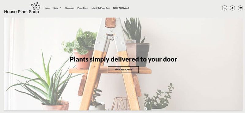 House Plant Shop