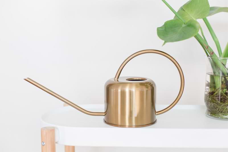 2021 Gift Guide for Fiddle Leaf Fig Lovers 4 Plant Tools 2021-1
