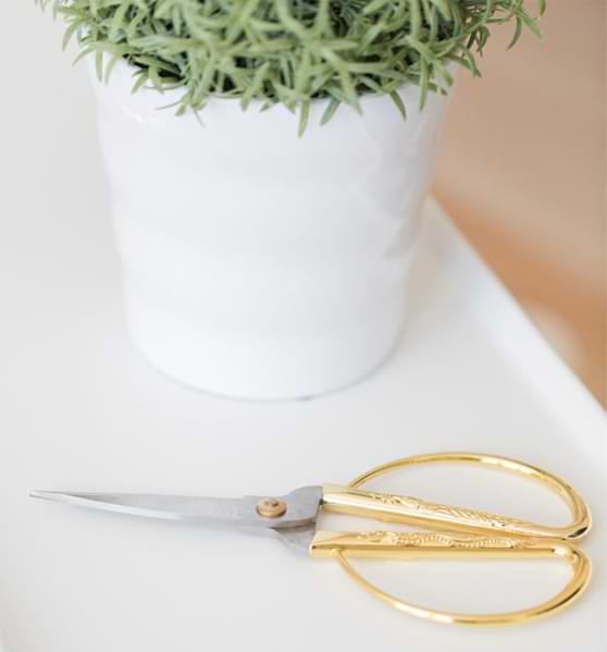 2021 Gift Guide for Fiddle Leaf Fig Lovers 3 Plant Tools 2021