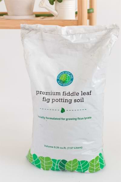 Premium Fiddle Leaf Fig Potting Soil