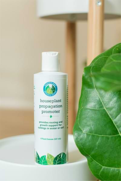 2021 Gift Guide for Fiddle Leaf Fig Lovers 8 Propagation Promoter