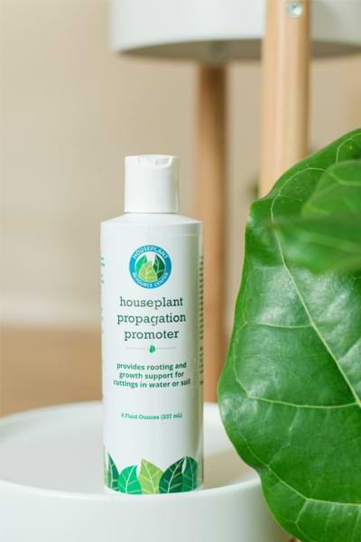 Top 10 Fiddle Leaf Fig Products and Tools 11 Propagation Promoter