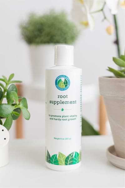 How Can You Tell the Difference Between a Dry and Over-Watered Fiddle Leaf Fig Plant? 8 Root Supplement