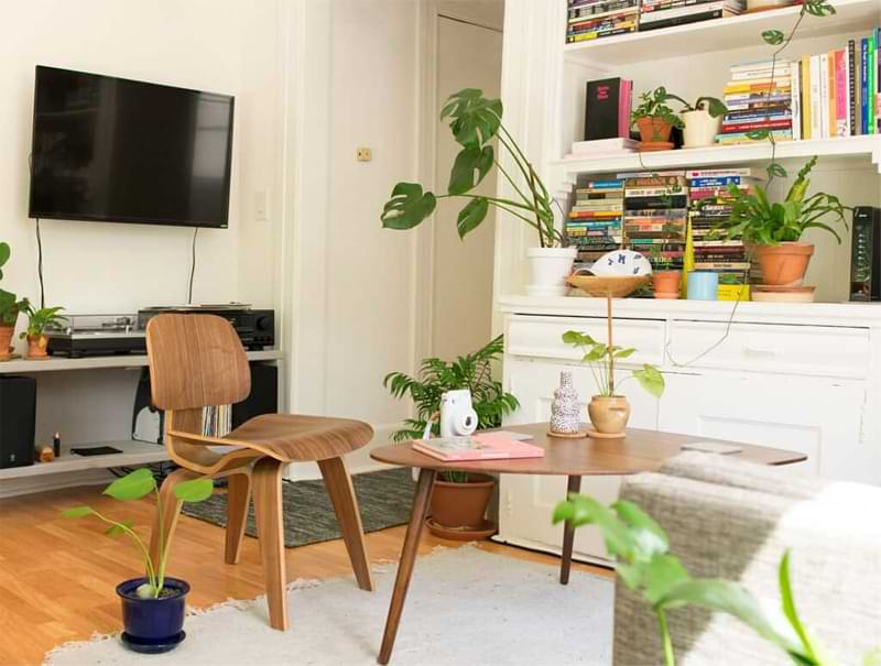 What Designers Mean by "White Space" (And How the Fiddle Leaf Fig Perfectly Exemplifies This Interior Decorating Trick) 7 What Designers Mean by White Space Fiddle Leaf Fig Plant Resource