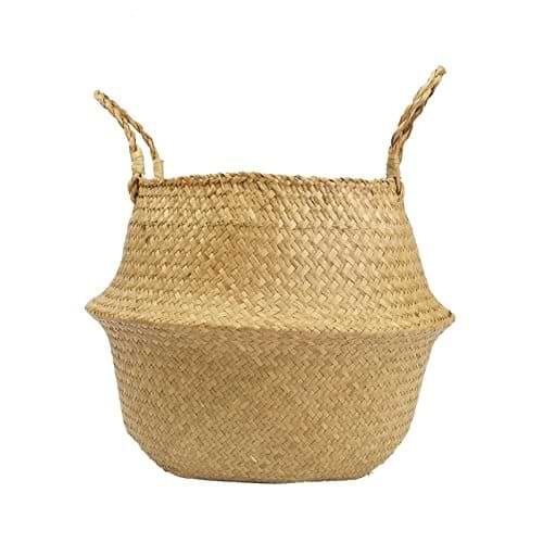 Woven Seagrass Basket for Fiddle Leaf Fig