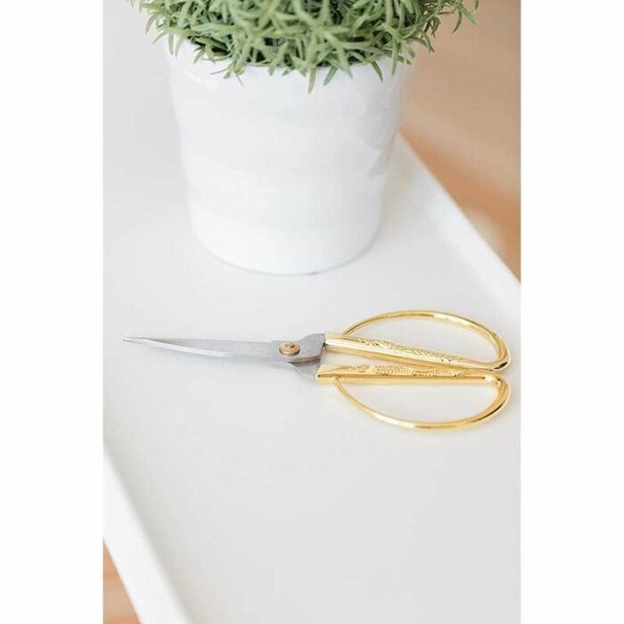 Houseplant Scissors and Pruning Shears The Fiddle Leaf Fig Plant Resource