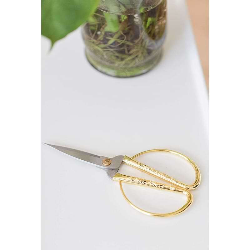 Houseplant Scissors and Pruning Shears 3 Pruning Shears