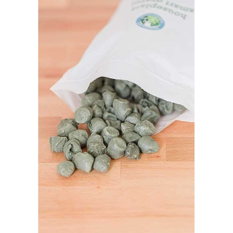 Ficus Danielle (Ficus Benjamina Daniella) Care Guide 3 Houseplant Smart Gravel