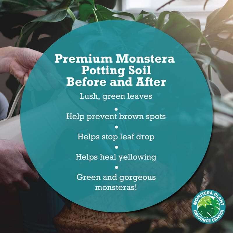 Premium Monstera Potting Soil 9 Monstera Soil