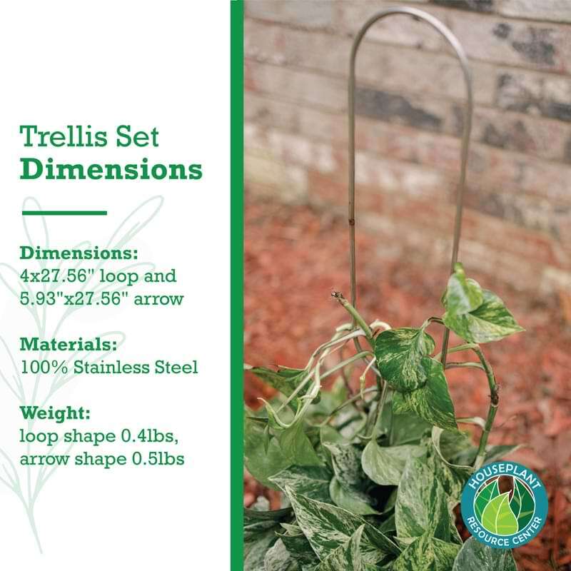 Houseplant Trellis Set