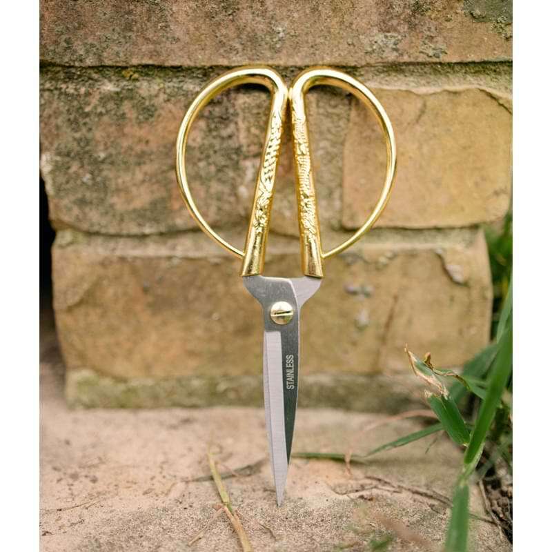 Houseplant Scissors and Pruning Shears 2 Pruning Shears