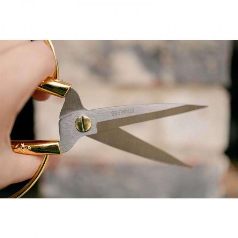 Houseplant Scissors and Pruning Shears The Fiddle Leaf Fig Plant Resource