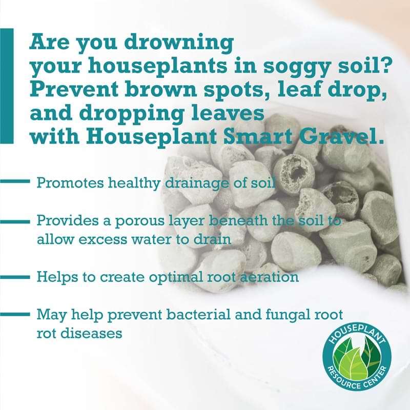 Houseplant Smart Gravel