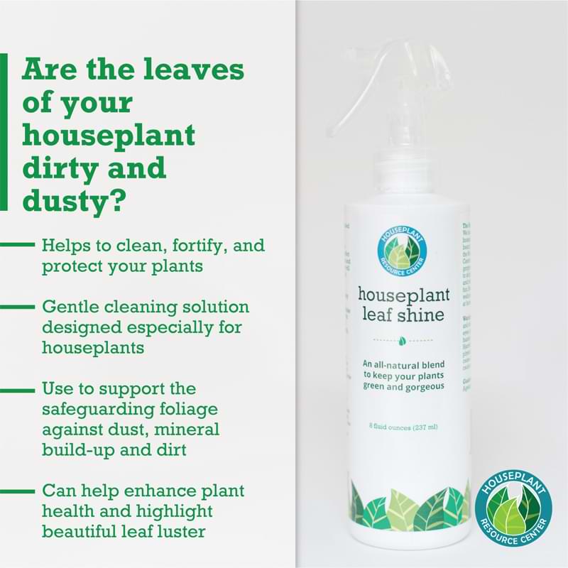 Houseplant Leaf Shine Spray 5 Houseplant Leaf Shine