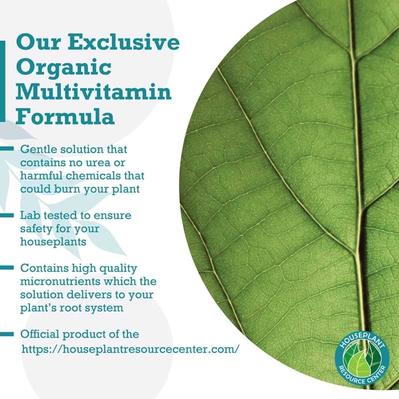 Houseplant Multivitamin 6 Houseplant Multivitamin