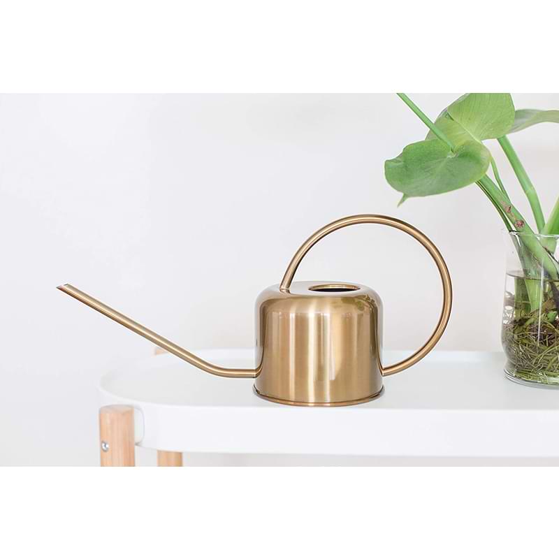 Houseplant Watering Can 1 Houseplant Watering Can