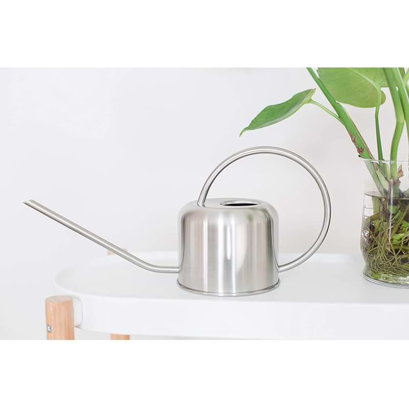 Houseplant Watering Can 2 Houseplant Watering Can