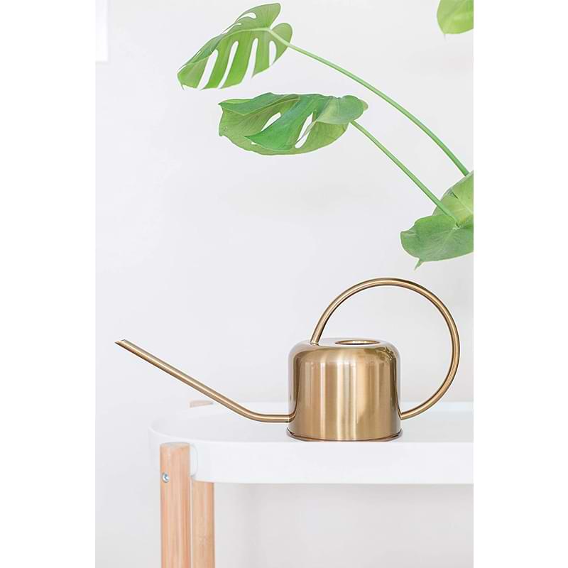 Houseplant Watering Can 5 Houseplant Watering Can