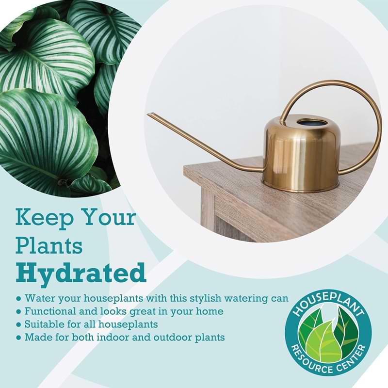 Houseplant Watering Can 7 Houseplant Watering Can