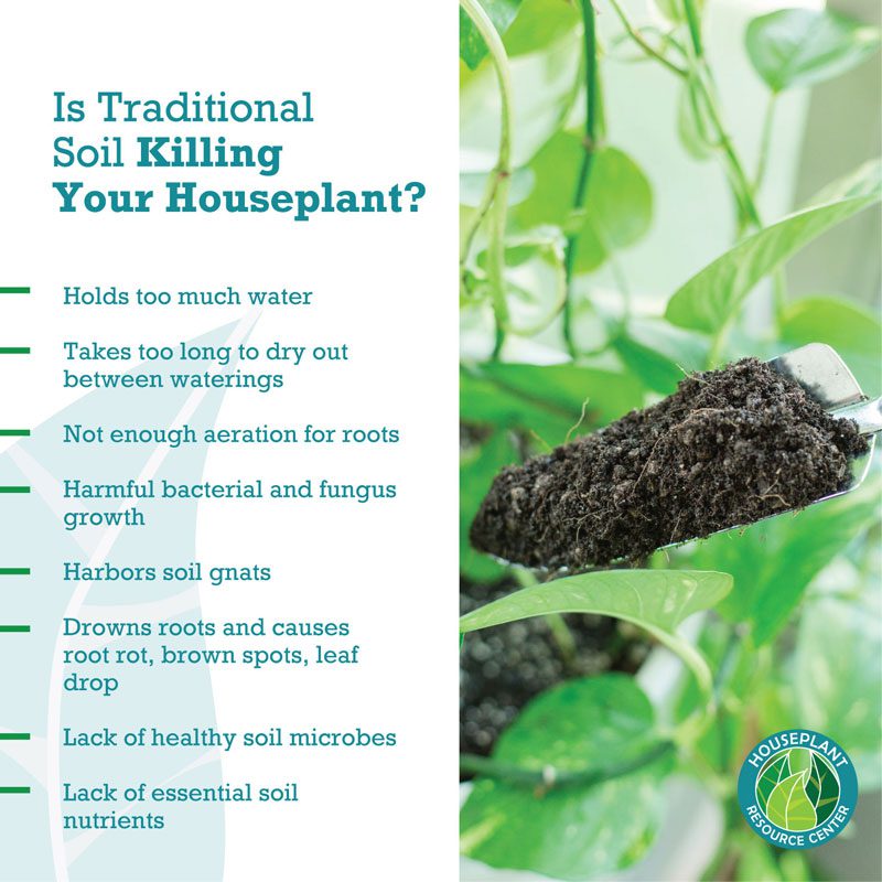 Indoor Plant Soil 5 Indoor Plant Soil