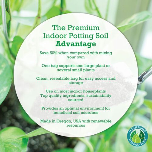 Indoor Plant Soil The Fiddle Leaf Fig Plant Resource