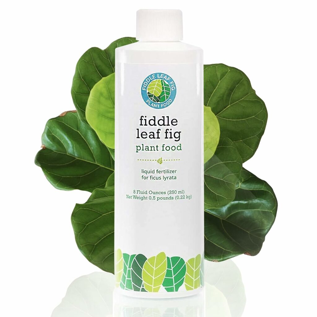 try fiddle leaf fig plant food