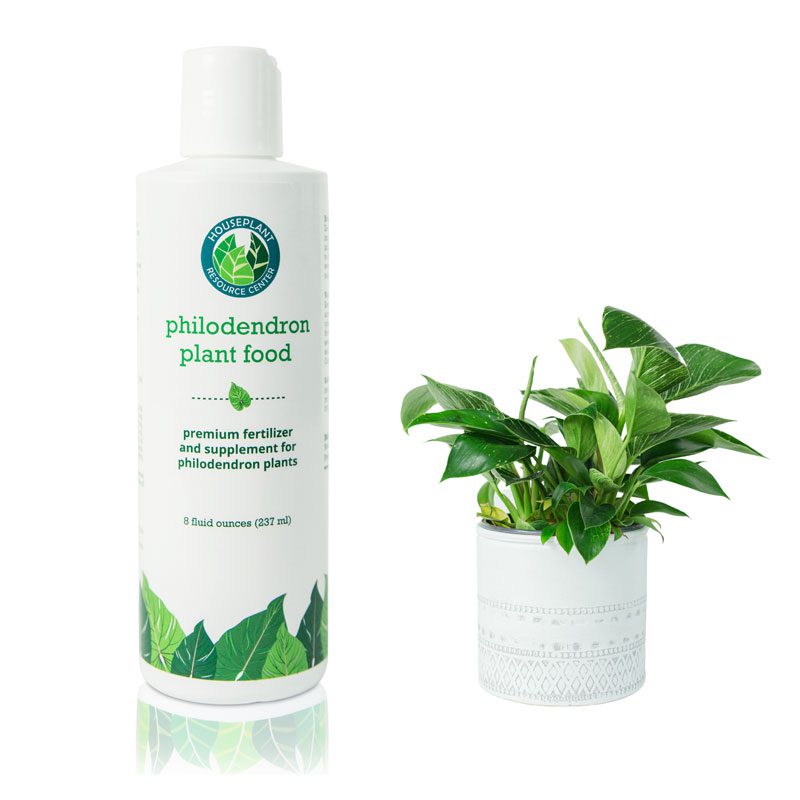 Philodendron Fertilizer 2 Philodendron Plant Food